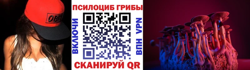 где купить наркотик Ак-Довурак Псилоцибиновые грибы GOLDEN TEACHER
